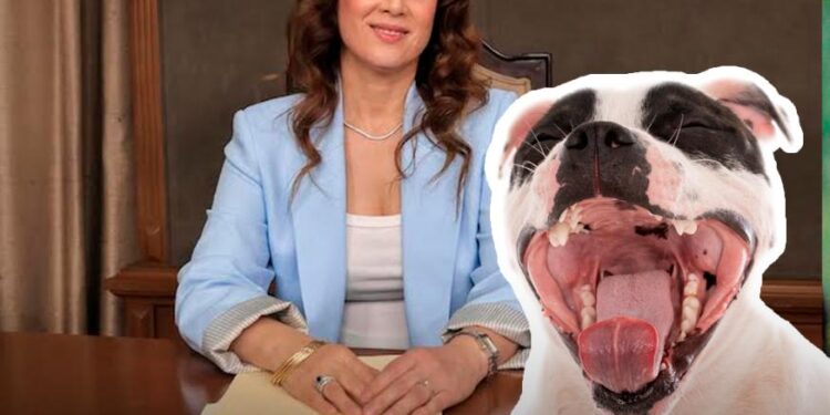 PIDE REGIDORA DE MONTERREY MULTAR A DUEÑOS DE PERROS QUE LADREN DEMASIADO; PAGARÍAN PROPIETARIOS HASTA $4500. 1 PIDE REGIDORA DE MONTERREY MULTAR A DUEÑOS DE PERROS QUE LADREN DEMASIADO; PAGARÍAN PROPIETARIOS HASTA $4500.