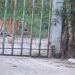 AHORA AVISTAN TIGRE EN SALINAS VICTORIA; ATIENDE PVSNL REPORTE DE EJEMPLAR QUE NO FORMA PARTE DE LA FAUNA REGIONAL. 7 AHORA AVISTAN TIGRE EN SALINAS VICTORIA; ATIENDE PVSNL REPORTE DE EJEMPLAR QUE NO FORMA PARTE DE LA FAUNA REGIONAL.