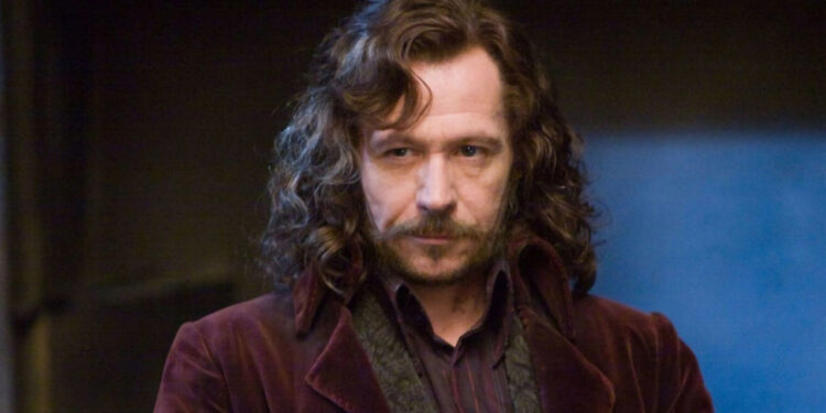 GARY OLDMAN ADMITE QUE QUISO INTERPRETAR A DUMBLEDORE EN LA NUEVA SERIE DE HARRY POTTER