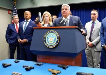 PANDILLEROS ATERRORIZAN BROOKLYN YA ENFRENTAN 68 CARGOS POR VIOLENCIA ARMADA