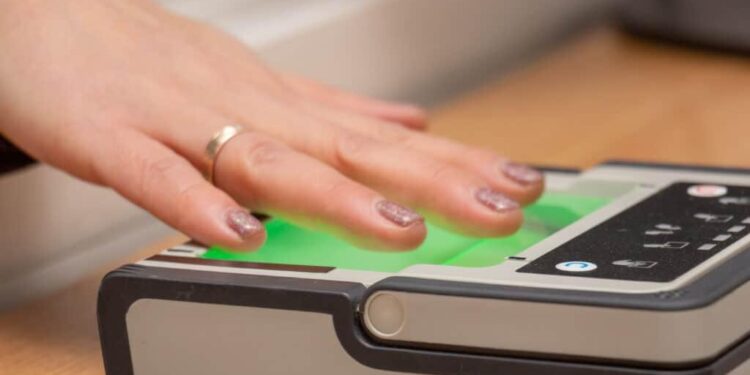 CURP BIOMÉTRICA DESPLAZARÁ A LA CREDENCIAL DEL INE