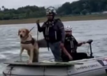 ‘JOE’, EL PERRO DE PROTECCIÓN CIVIL NUEVO LEÓN QUE APOYA LAS TAREAS DE RESCATE EN TEXAS.