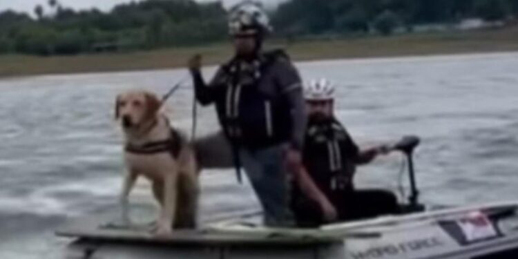 ‘JOE’, EL PERRO DE PROTECCIÓN CIVIL NUEVO LEÓN QUE APOYA LAS TAREAS DE RESCATE EN TEXAS.