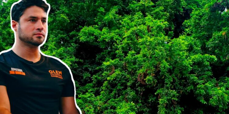 PROPONE GLEN CINTURÓN VERDE PARA DETENER CAOS URBANO METROPOLITANO.