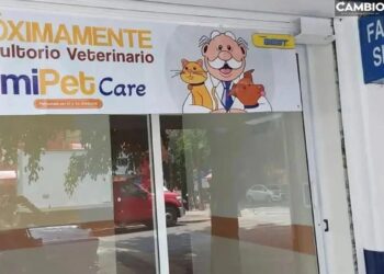 SIMIPET CARE EXPANDE SU RED ABRIRÁ 12 NUEVOS CONSULTORIOS VETERINARIOS EN CDMX Y EDOMEX