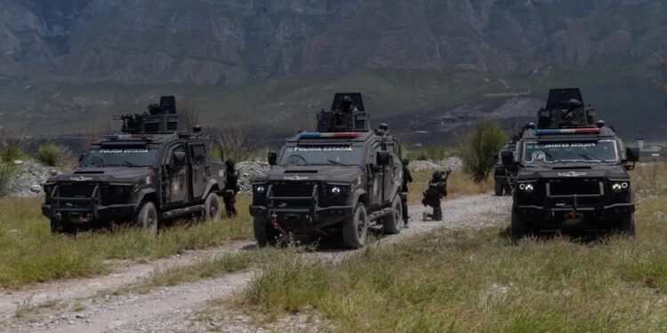 MANTIENE ESTADO OPERATIVO MURALLA EN ZONA CITRÍCOLA; VIGILAN MÁS DE 300 ELEMENTOS ESTATALES Y FEDERALES. 1 MANTIENE ESTADO OPERATIVO MURALLA EN ZONA CITRÍCOLA; VIGILAN MÁS DE 300 ELEMENTOS ESTATALES Y FEDERALES.