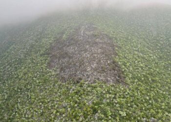 SOFOCA PROTECCIÓN CIVIL ESTATAL INCENDIO EN VILLALDAMA; DEJA SINIESTRO AFECTACIÓN MÍNIMA EN SIERRA DE GOMAS