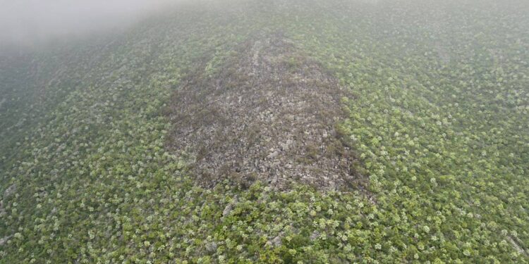 SOFOCA PROTECCIÓN CIVIL ESTATAL INCENDIO EN VILLALDAMA; DEJA SINIESTRO AFECTACIÓN MÍNIMA EN SIERRA DE GOMAS 1 SOFOCA PROTECCIÓN CIVIL ESTATAL INCENDIO EN VILLALDAMA; DEJA SINIESTRO AFECTACIÓN MÍNIMA EN SIERRA DE GOMAS