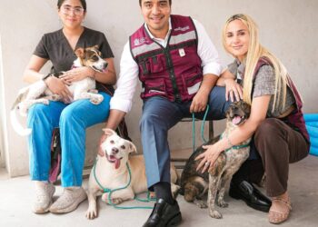 LE SALE LO ‘FIFÍ’ A NAVA; USA ALCALDE MORENISTA ZAPATOS ITALIANOS ZEGNA DE $25 MIL