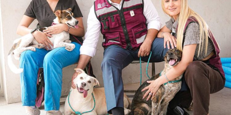 LE SALE LO 'FIFÍ' A NAVA; USA ALCALDE MORENISTA ZAPATOS ITALIANOS ZEGNA DE $25 MIL 1 LE SALE LO ‘FIFÍ’ A NAVA; USA ALCALDE MORENISTA ZAPATOS ITALIANOS ZEGNA DE $25 MIL