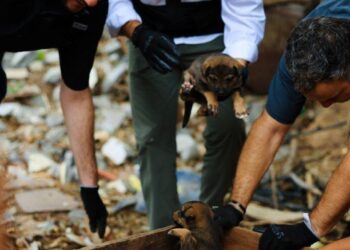 INAUGURA SAMUEL ALBERCAS EN PARQUE FUNDIDORA; ABREN ZONA SPLASH GRATIS PARA NIÑAS Y NIÑOS