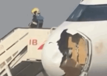 PÁNICO A BORDO; IMPACTA AVIÓN A BUITRE Y ATERRIZA DE EMERGENCIA