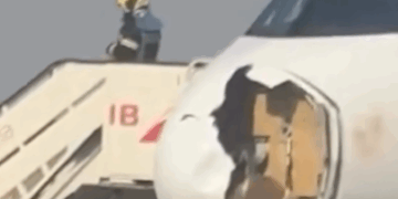 PÁNICO A BORDO; IMPACTA AVIÓN A BUITRE Y ATERRIZA DE EMERGENCIA