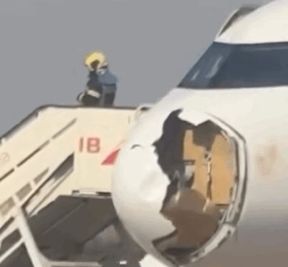 PÁNICO A BORDO; IMPACTA AVIÓN A BUITRE Y ATERRIZA DE EMERGENCIA 1 PÁNICO A BORDO; IMPACTA AVIÓN A BUITRE Y ATERRIZA DE EMERGENCIA