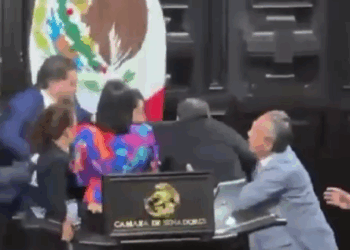 ALITO VS. NOROÑA PELEAN EN EL SENADO TRAS AGRESIÓN DE PRIÍSTA A MORENISTA