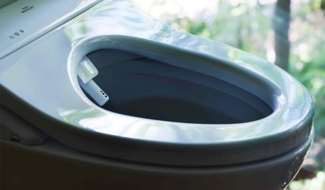 CRECEN LAS ALTERNATIVAS AL PAPEL HIGIÉNICO CON INODOROS MÁS EFICIENTES Y ECOLÓGICOS 1 CRECEN LAS ALTERNATIVAS AL PAPEL HIGIÉNICO CON INODOROS MÁS EFICIENTES Y ECOLÓGICOS