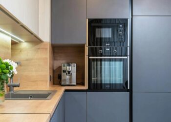 EL HORNO DE CONVECCIÓN SE PERFILA COMO EL SUSTITUTO NATURAL DEL MICROONDAS