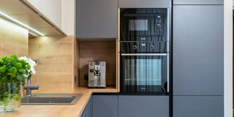 EL HORNO DE CONVECCIÓN SE PERFILA COMO EL SUSTITUTO NATURAL DEL MICROONDAS 1 EL HORNO DE CONVECCIÓN SE PERFILA COMO EL SUSTITUTO NATURAL DEL MICROONDAS