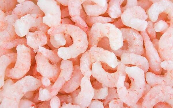 FDA ORDENA RETIRO DE CAMARONES POR POSIBLE CONTAMINACIÓN RADIACTIVA