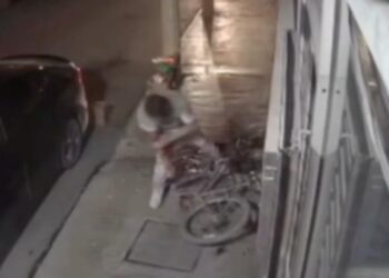 INTENTA ROBAR HIERBERÍA, ROMPE PUERTA DE CRISTAL Y SE CORTA LAS VENAS.