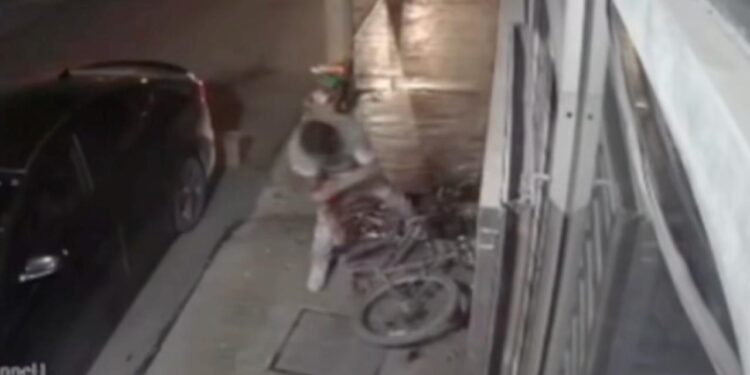 INTENTA ROBAR HIERBERÍA, ROMPE PUERTA DE CRISTAL Y SE CORTA LAS VENAS. 1 INTENTA ROBAR HIERBERÍA, ROMPE PUERTA DE CRISTAL Y SE CORTA LAS VENAS.