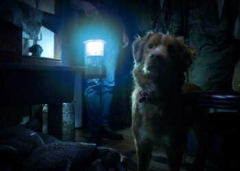 GOOD BOY: TERROR DESDE LOS OJOS DE UN PERRO