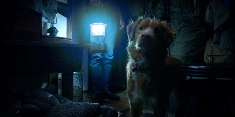 GOOD BOY: TERROR DESDE LOS OJOS DE UN PERRO 1 GOOD BOY: TERROR DESDE LOS OJOS DE UN PERRO