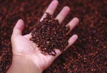 FDA ORDENA RETIRO DE ESPECIAS Y PRODUCTOS CÁRNICOS POR RIESGO RADIOACTIVO Y LISTERIA