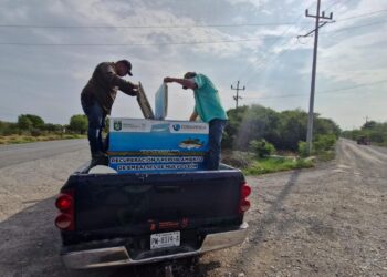 IMPULSA PARQUES Y VIDA SILVESTRE DE NUEVO LEÓN REPOBLACIÓN DE LOBINA NEGRA EN LA PRESA CERRO PRIETO.
