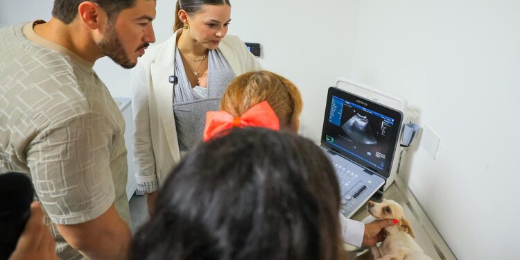 INAUGURAN MARIANA Y SAMUEL CENTRO ESTATAL DE ATENCIÓN ANIMAL; BRINDARÁN REFUGIO TEMPORAL Y ATENCIÓN MÉDICA A ANIMALES RESCATADOS. 1 INAUGURAN MARIANA Y SAMUEL CENTRO ESTATAL DE ATENCIÓN ANIMAL; BRINDARÁN REFUGIO TEMPORAL Y ATENCIÓN MÉDICA A ANIMALES RESCATADOS.