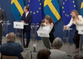 SE DESMAYA MINISTRA DE SALUD DE SUECIA DURANTE SU PRESENTACIÓN.