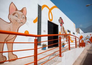 CATEA FISCALÍA CENTRO ANIMAL DE SANTA CATARINA; NIEGA NAVA SACRIFICIO DE 70 PERROS. 3 CATEA FISCALÍA CENTRO ANIMAL DE SANTA CATARINA; NIEGA NAVA SACRIFICIO DE 70 PERROS.