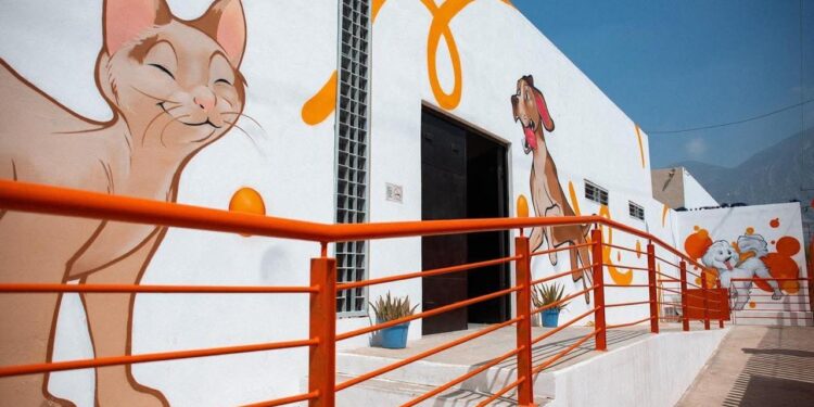 CATEA FISCALÍA CENTRO ANIMAL DE SANTA CATARINA; NIEGA NAVA SACRIFICIO DE 70 PERROS.