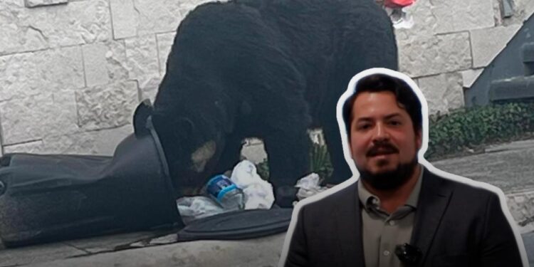 LLAMA PARQUES Y VIDA SILVESTRE DE NUEVO LEÓN A LA COMUNIDAD A PROTEGER LA FAUNA SILVESTRE CON MANEJO RESPONSABLE DE RESIDUOS. 1 LLAMA PARQUES Y VIDA SILVESTRE DE NUEVO LEÓN A LA COMUNIDAD A PROTEGER LA FAUNA SILVESTRE CON MANEJO RESPONSABLE DE RESIDUOS.