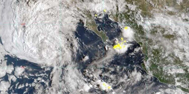 TORMENTA TROPICAL MARIO SE DEBILITA EN EL PACÍFICO; HUMEDAD PODRÍA LLEGAR A ESTADOS UNIDOS 1 TORMENTA TROPICAL MARIO SE DEBILITA EN EL PACÍFICO; HUMEDAD PODRÍA LLEGAR A ESTADOS UNIDOS