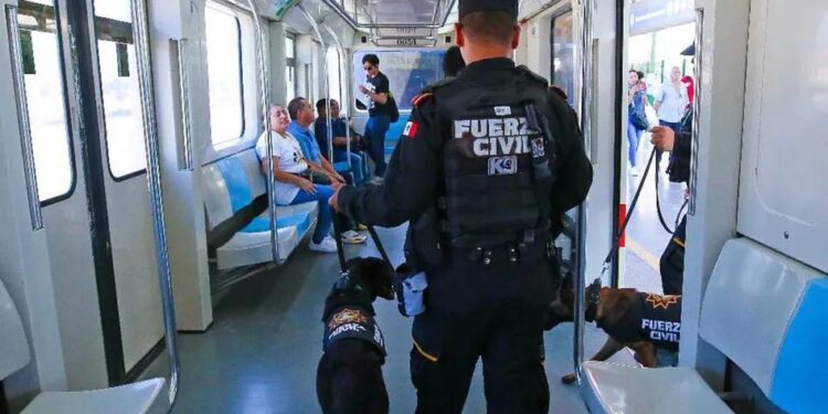 DETIENE FUERZA CIVIL A 180 EN OPERATIVOS DE TRANSPORTE PÚBLICO; PRESENTAN RESULTADOS DE VIGILANCIA CON AGENTES UNIFORMADOS Y ENCUBIERTOS.