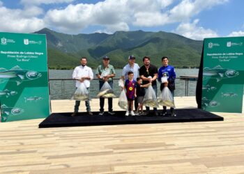 REACTIVA PARQUES Y VIDA SILVESTRE PESCA DEPORTIVA EN LA BOCA; LIBERAN 100 EJEMPLARES DE LOBINA NEGRA