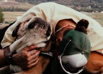 LEWIS HAMILTON SE DESPIDE DE ROSCOE, SU PERRO BULLDOG