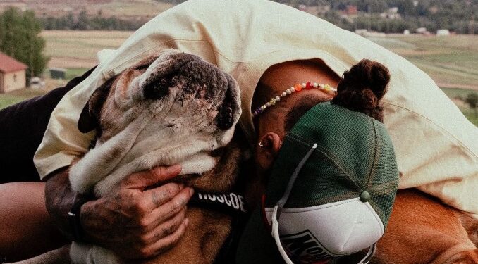LEWIS HAMILTON SE DESPIDE DE ROSCOE, SU PERRO BULLDOG 1 LEWIS HAMILTON SE DESPIDE DE ROSCOE, SU PERRO BULLDOG
