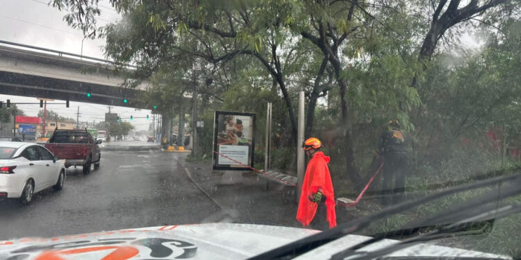 ALERTAN POR MÁS LLUVIAS EN NUEVO LEÓN; LANZA PROTECCIÓN CIVIL LLAMADO A EXTREMAR PRECAUCIONES 1 ALERTAN POR MÁS LLUVIAS EN NUEVO LEÓN; LANZA PROTECCIÓN CIVIL LLAMADO A EXTREMAR PRECAUCIONES