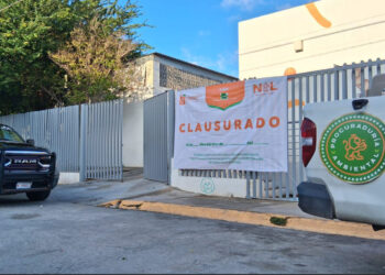 CLAUSURA DIVISIÓN AMBIENTAL CENTRO DE BIENESTAR ANIMAL DE SANTA CATARINA, CONFIRMA ESTADO IRREGULARIDADES COMO FALTA DE EXPEDIENTES Y ÁREAS DE ESTANCIA Y RESGUARDO SUCIAS 2 CLAUSURA DIVISIÓN AMBIENTAL CENTRO DE BIENESTAR ANIMAL DE SANTA CATARINA, CONFIRMA ESTADO IRREGULARIDADES COMO FALTA DE EXPEDIENTES Y ÁREAS DE ESTANCIA Y RESGUARDO SUCIAS