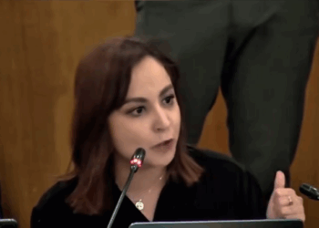 TRUENA IRAÍS REYES CONTRA ‘LEY DE DESAMPARO’; CALIFICA DIPUTADA FEDERAL POR NUEVO LEÓN DE ‘MENTADA DE MADRE’ SIMULACIÓN LEGISLATIVA. 2 TRUENA IRAÍS REYES CONTRA ‘LEY DE DESAMPARO’; CALIFICA DIPUTADA FEDERAL POR NUEVO LEÓN DE ‘MENTADA DE MADRE’ SIMULACIÓN LEGISLATIVA.