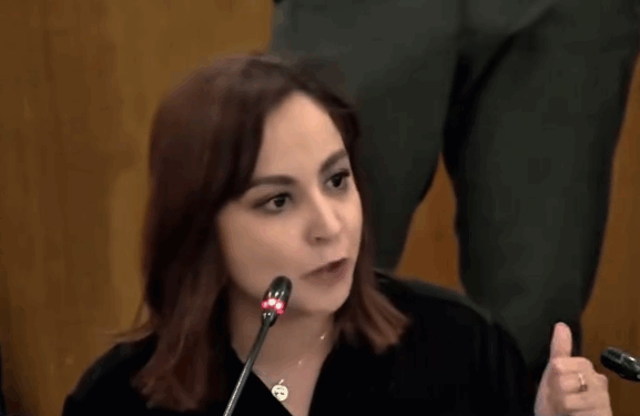 TRUENA IRAÍS REYES CONTRA ‘LEY DE DESAMPARO’; CALIFICA DIPUTADA FEDERAL POR NUEVO LEÓN DE ‘MENTADA DE MADRE’ SIMULACIÓN LEGISLATIVA.