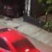 OTRO ACTO DE CRUELDAD ANIMAL: DISPARAN A PERRO CON PISTOLA DE POSTAS DESDE UN VEHÍCULO 7 OTRO ACTO DE CRUELDAD ANIMAL: DISPARAN A PERRO CON PISTOLA DE POSTAS DESDE UN VEHÍCULO
