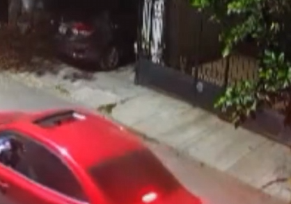 OTRO ACTO DE CRUELDAD ANIMAL: DISPARAN A PERRO CON PISTOLA DE POSTAS DESDE UN VEHÍCULO 1 OTRO ACTO DE CRUELDAD ANIMAL: DISPARAN A PERRO CON PISTOLA DE POSTAS DESDE UN VEHÍCULO