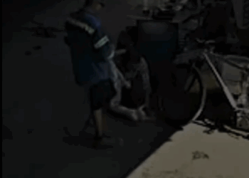 SUSPENDE DIVISIÓN AMBIENTAL PREDIO POR MALTRATO ANIMAL EN APODACA