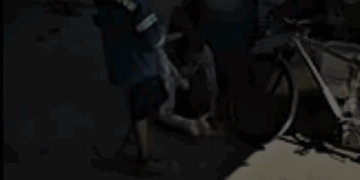 SUSPENDE DIVISIÓN AMBIENTAL PREDIO POR MALTRATO ANIMAL EN APODACA 2 SUSPENDE DIVISIÓN AMBIENTAL PREDIO POR MALTRATO ANIMAL EN APODACA