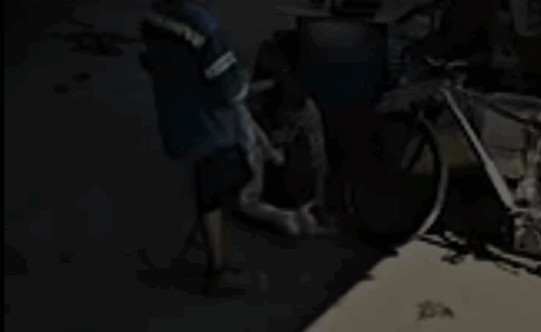 SUSPENDE DIVISIÓN AMBIENTAL PREDIO POR MALTRATO ANIMAL EN APODACA 1 SUSPENDE DIVISIÓN AMBIENTAL PREDIO POR MALTRATO ANIMAL EN APODACA