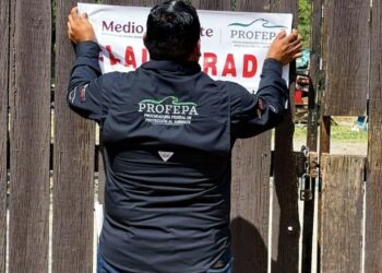 CLAUSURA PROFEPA LA PASTORA; APLICAN CIERRE TEMPORAL ANTE CASO DE OSA ‘MINA’