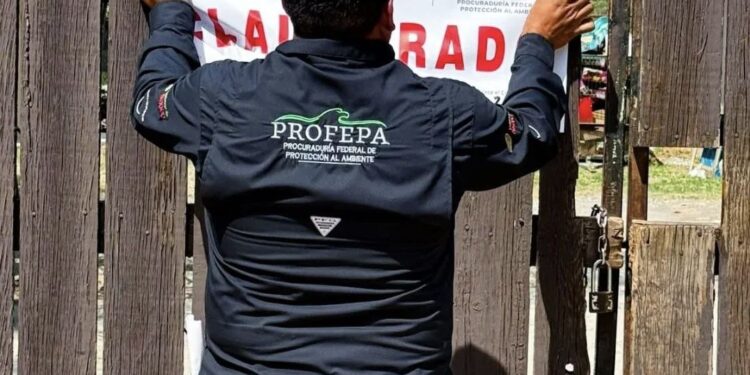 CLAUSURA PROFEPA LA PASTORA; APLICAN CIERRE TEMPORAL ANTE CASO DE OSA 'MINA' 1 CLAUSURA PROFEPA LA PASTORA; APLICAN CIERRE TEMPORAL ANTE CASO DE OSA ‘MINA’